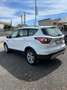 Ford Kuga Kuga 2.0 TDCI 120 CV S&S 2WD Business Blanc - thumbnail 2