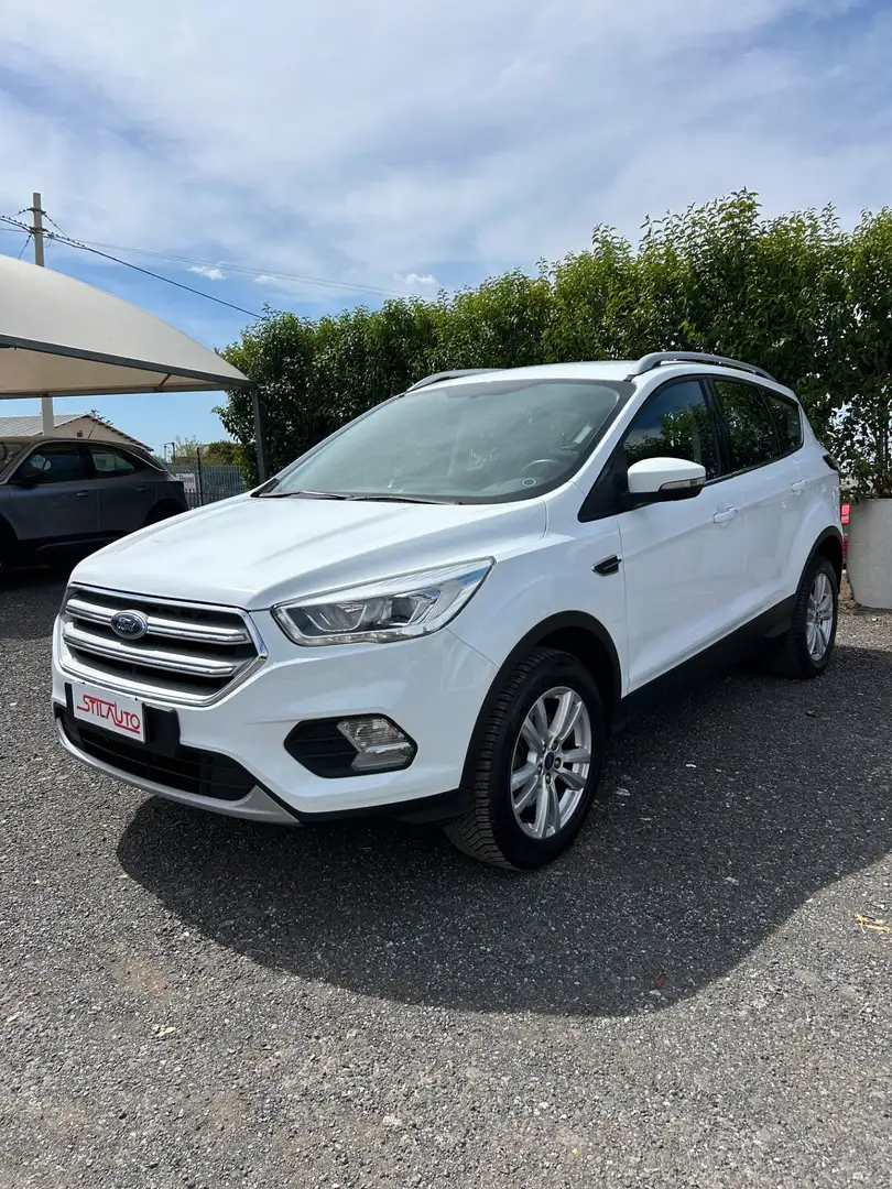 Ford Kuga Kuga 2.0 TDCI 120 CV S&S 2WD Business Blanc - 1