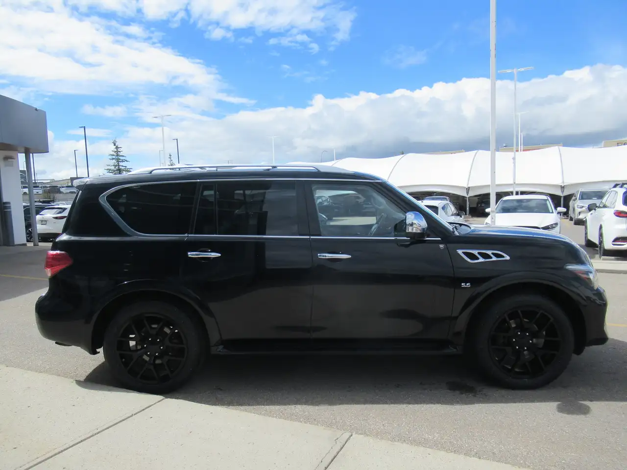 Infiniti QX80 fotografie Infiniti QX80