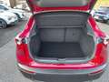 Mazda CX-30 e-Skyactive G140 Homura Automatik AKTION-KURZZU... Rot - thumbnail 16