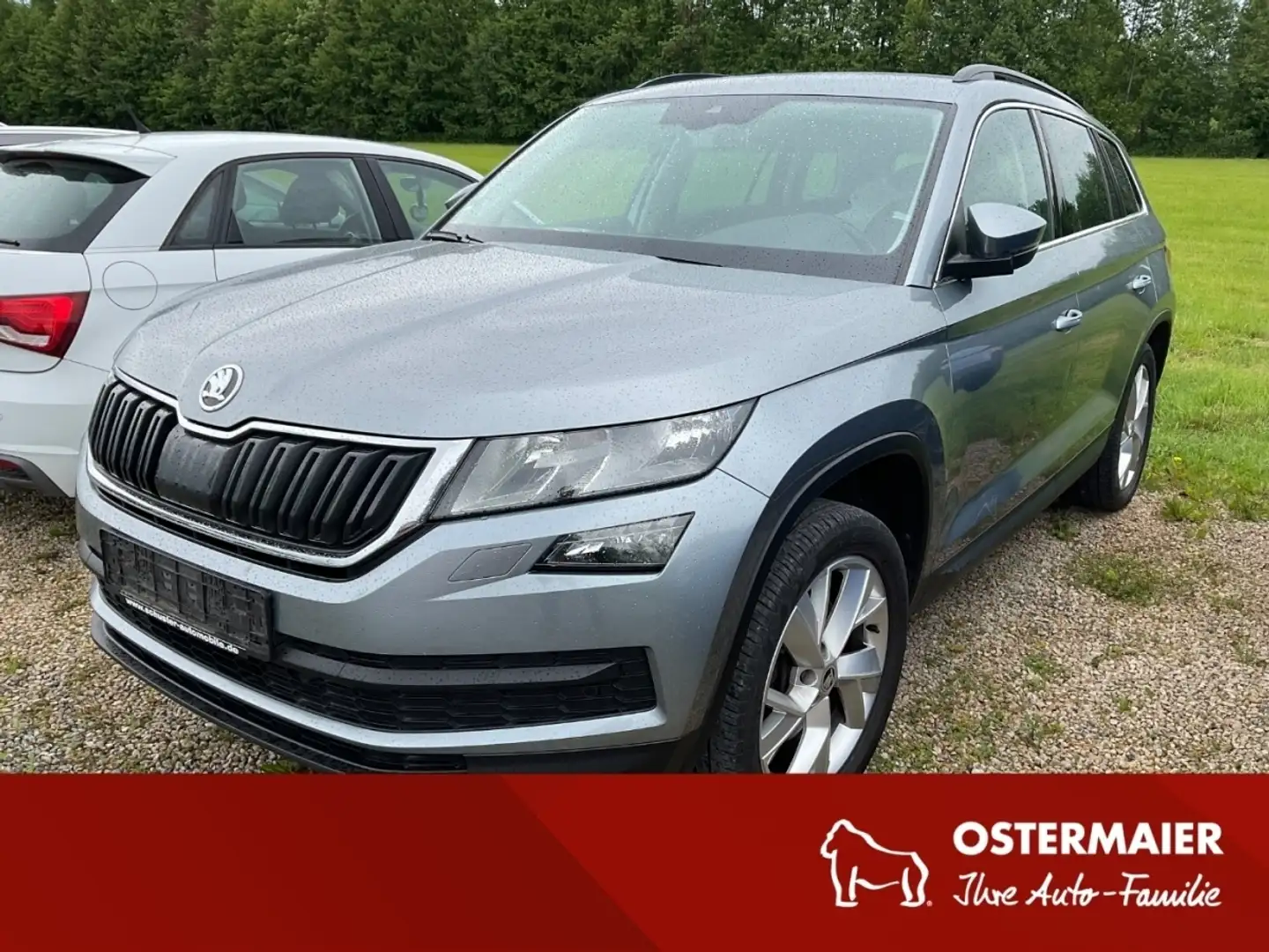 Skoda Kodiaq 2.0TSI 180PS 4x4 DSG AHK.NAVI.ACC.KESSY.2xPDC Grau - 1