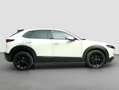Mazda CX-30 Mazda CX-30 G150 Comfort +/SO/ST Weiß - thumbnail 1