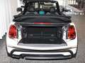 MINI One Cabrio One Cabrio Navi LED 6Zoll BT USB PDC  DAB Klima Weiß - thumbnail 13