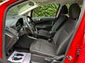 Ford EcoSport EcoSport 1.0 ecoboost Titanium 100cv my19 Rosso - thumbnail 10