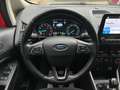 Ford EcoSport EcoSport 1.0 ecoboost Titanium 100cv my19 Rosso - thumbnail 14