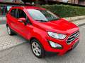 Ford EcoSport EcoSport 1.0 ecoboost Titanium 100cv my19 Rosso - thumbnail 3