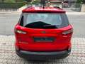 Ford EcoSport EcoSport 1.0 ecoboost Titanium 100cv my19 Rosso - thumbnail 6