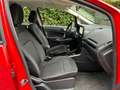 Ford EcoSport EcoSport 1.0 ecoboost Titanium 100cv my19 Rosso - thumbnail 11