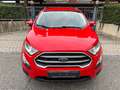 Ford EcoSport EcoSport 1.0 ecoboost Titanium 100cv my19 Rosso - thumbnail 2