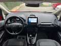Ford EcoSport EcoSport 1.0 ecoboost Titanium 100cv my19 Rosso - thumbnail 12
