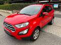 Ford EcoSport EcoSport 1.0 ecoboost Titanium 100cv my19 Rosso - thumbnail 1
