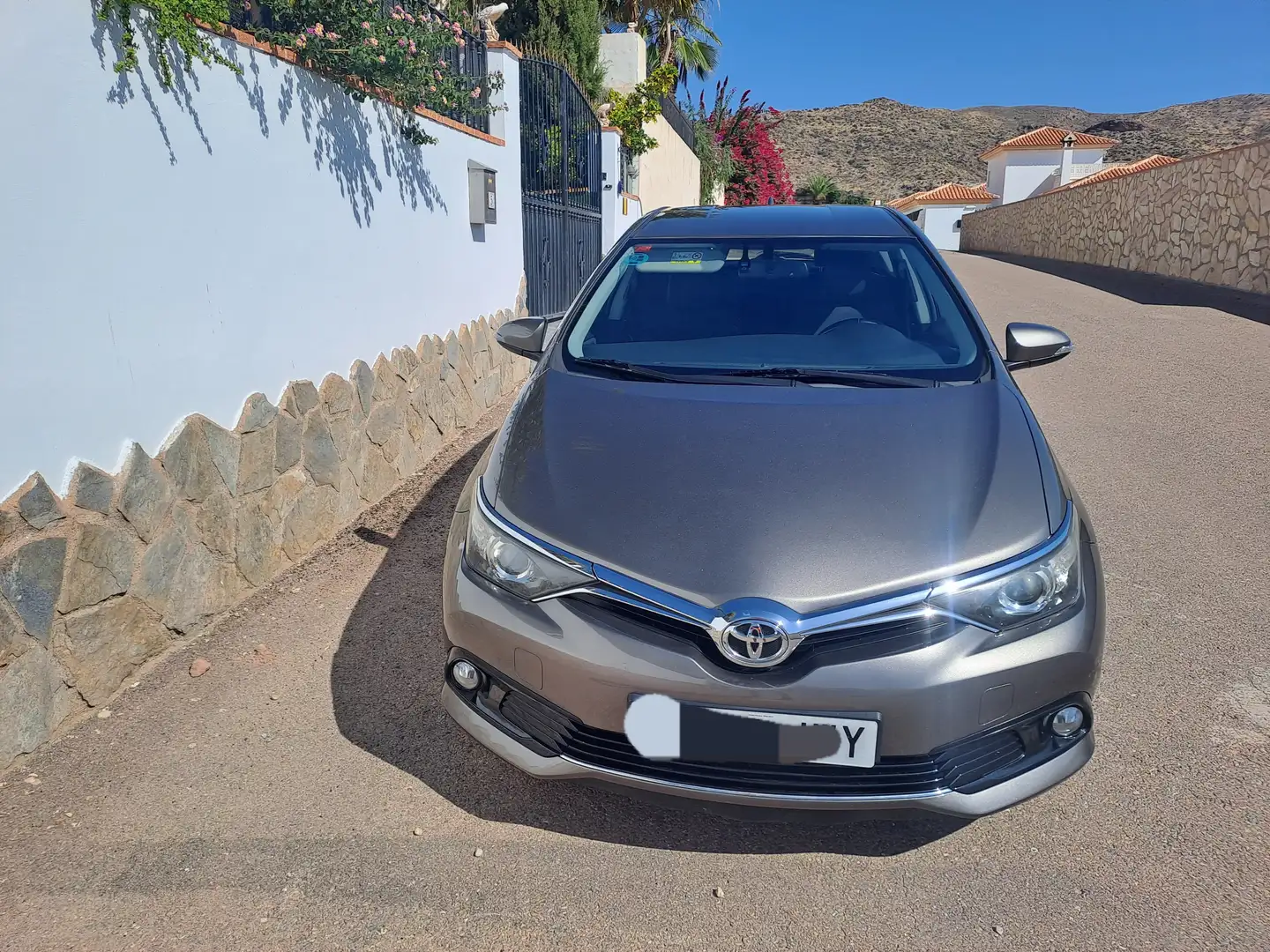 Toyota Auris Auris TS 120T Active (Business Plus) + P SENSOR Marrón - 1