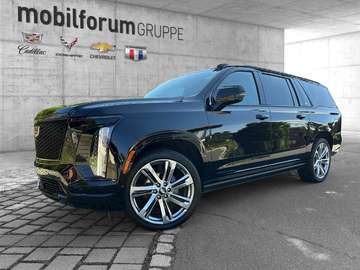 ESV Sport Platinum neuer Austauschmo