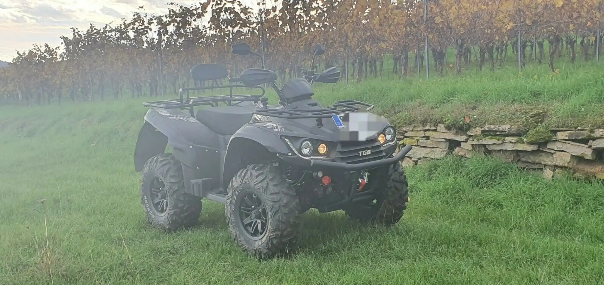 TGB Blade 550 Negro - 1