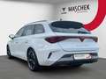 CUPRA Leon ST 1.5 eTSI DSG Navi Sitzh LED ACC Lane Assist Weiß - thumbnail 4