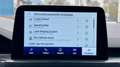 Ford Kuga 2.5 PHEV ST-LINE X / Driver+19inch+Winter pack Zwart - thumbnail 15