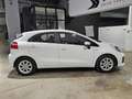 Kia Rio 1.2 CVVT Concept Weiß - thumbnail 7