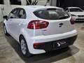 Kia Rio 1.2 CVVT Concept Weiß - thumbnail 4