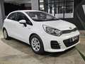 Kia Rio 1.2 CVVT Concept Weiß - thumbnail 8