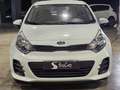 Kia Rio 1.2 CVVT Concept Weiß - thumbnail 2