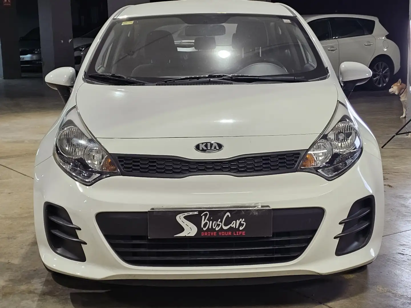 Kia Rio 1.2 CVVT Concept Weiß - 2