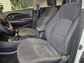Kia Rio 1.2 CVVT Concept Weiß - thumbnail 23
