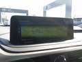 Lexus RX 450h 3.5 executive cvt Rot - thumbnail 15