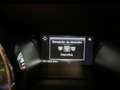 Ford Mustang 2.3 EcoBoost 314cv  (Fastback) Rojo - thumbnail 25