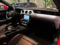 Ford Mustang 2.3 EcoBoost 314cv  (Fastback) Rojo - thumbnail 19
