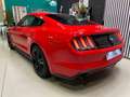 Ford Mustang 2.3 EcoBoost 314cv  (Fastback) Rojo - thumbnail 15