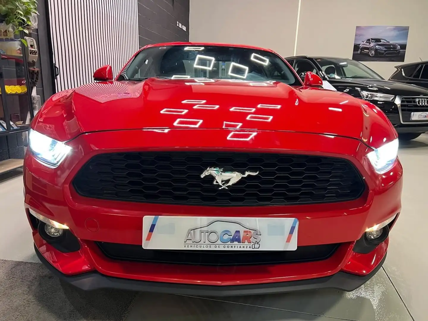 Ford Mustang 2.3 EcoBoost 314cv  (Fastback) Rojo - 2