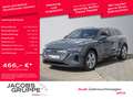 Audi Q8 55 advanced ACC/Matrix/HuD/AHK/360° e-tron Gri - thumbnail 1