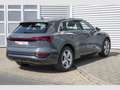 Audi Q8 55 advanced ACC/Matrix/HuD/AHK/360° e-tron Gri - thumbnail 3