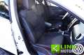 Renault Clio 1.2 75CV 5 porte Costume National Blanc - thumbnail 7