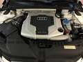 Audi A4 allroad 3.0 V6 TDI S tronic Adv *UNICO PROPRIETARIO* Blanco - thumbnail 18