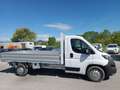 Fiat DUCATO MAXI 35 LH1 2.3 MJT 140cv CABINATO E6d Bianco - thumbnail 4