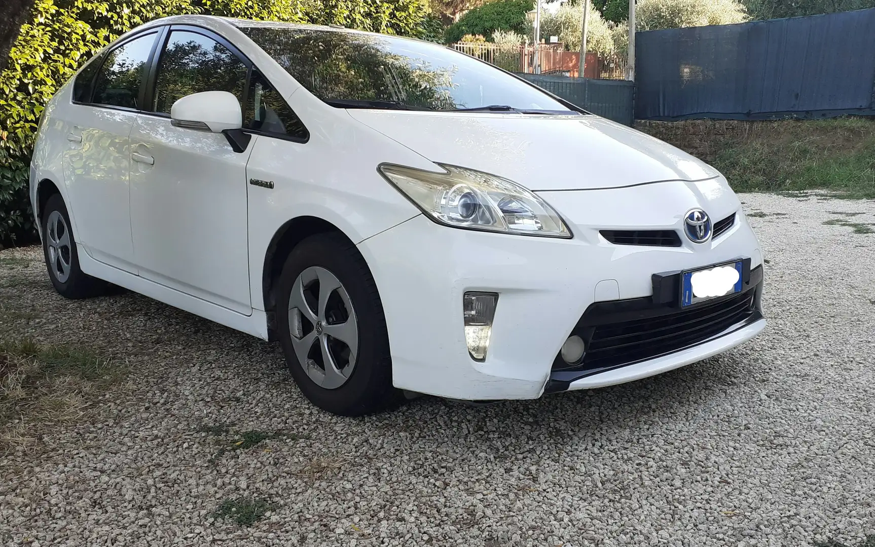 Toyota Prius Toyota prius hybrid Bianco - 1