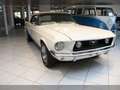 Ford Mustang Cabrio 5,0 Radio Servo Scheckheft HUAU Wit - thumbnail 4
