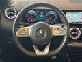 Mercedes-Benz B 250 AMG/Night 7G-DCT LED RFK AHKPano CarPlay Negro - thumbnail 10