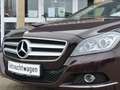 Mercedes-Benz CLS CLS 350 CDI BE 4Matic Braun - thumbnail 2