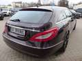 Mercedes-Benz CLS CLS 350 CDI BE 4Matic Braun - thumbnail 6