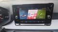 SEAT Ibiza 1,0 Reference Weiß - thumbnail 22