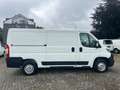 Peugeot Boxer 333 L2H1 PREMIUM 140 STANDHZ/KAMERA/LANG Blanc - thumbnail 8