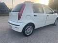 Fiat Punto Punto 5p 1.2 Active Gpl  NEOPATENTATI Blanco - thumbnail 5