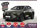 Lexus NX 350h 350h Aut 4WD Leder Nav 20Z eHK Kam SHZ PrivG Grün - thumbnail 1