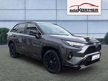 Hybrid 4x4 Style Selection 360°,ACC,Totwink.,Sitzh