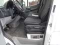 Mercedes-Benz Sprinter 316 CDI Geschl. Kasten / Hoch / Lang / 3-Sitzer bijela - thumbnail 6