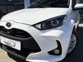 Toyota Yaris 120H 1.5 Business Plus Blanco - thumbnail 17