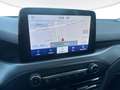Ford Focus SW 1.5 ecoblue Business 120cv Grau - thumbnail 11