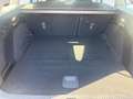 Ford Focus SW 1.5 ecoblue Business 120cv Grau - thumbnail 4